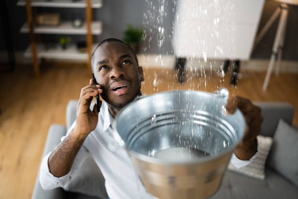Best Flood damage cleanup  in Sun City Center, FL