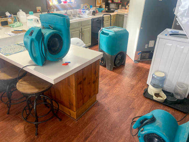 Best Water damage restoration near me  in Sun City Center, FL