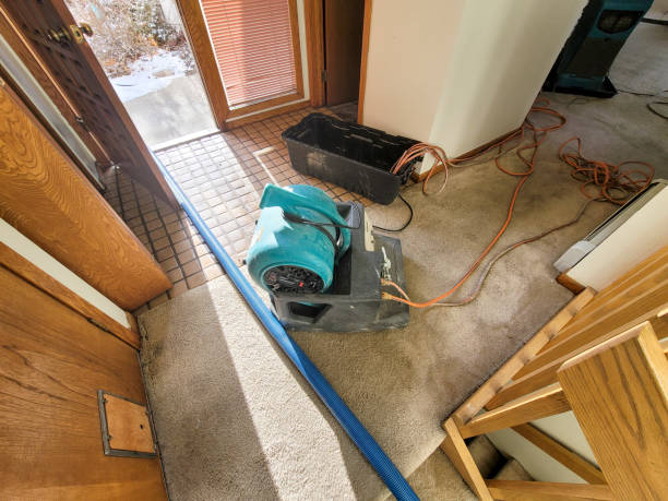 Best Professional water damage repair  in Sun City Center, FL