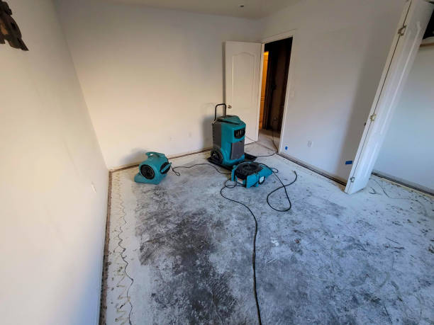 Best Local water damage restoration  in Sun City Center, FL