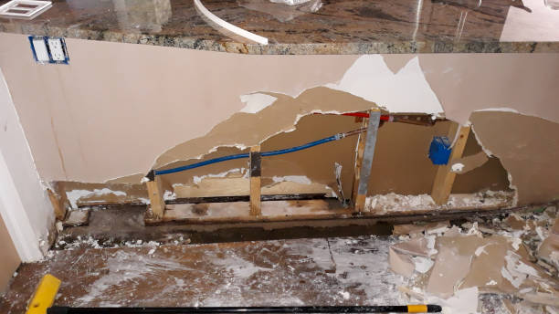 Best Water damage restoration insurance claims  in Sun City Center, FL
