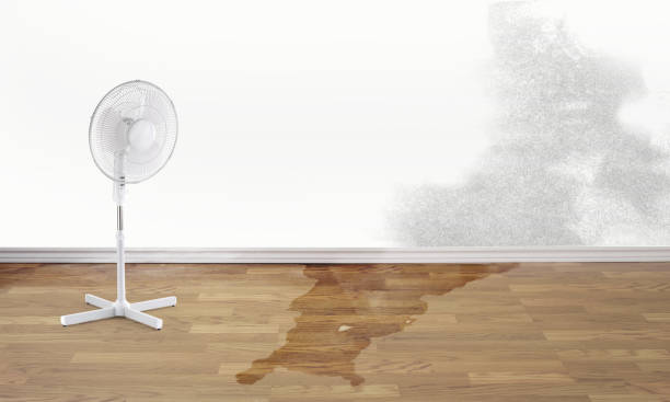  Sun City Center, FL Water damage restoration Pros
