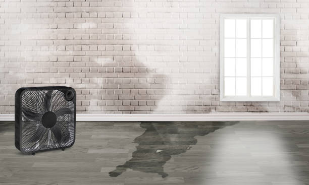 Best Water damage restoration services  in Sun City Center, FL