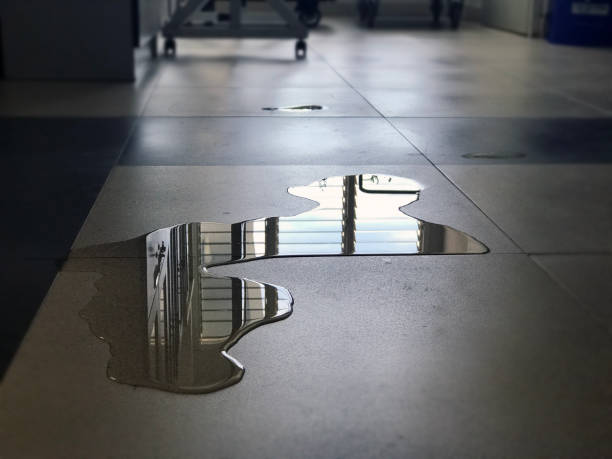 Best Water damage contractors near me  in Sun City Center, FL