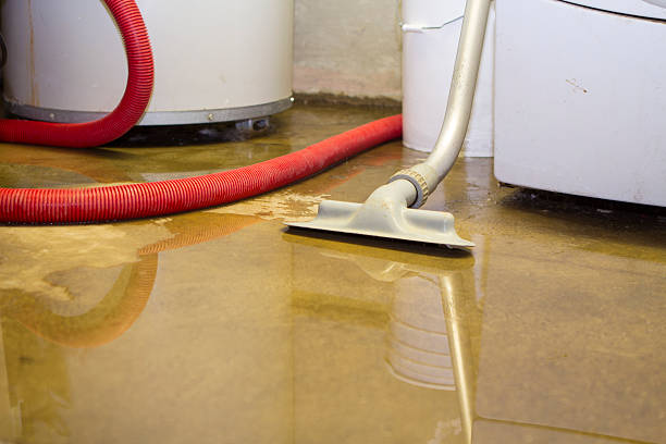 Best Flooded house restoration  in Sun City Center, FL