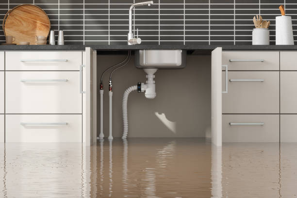 Best 24-hour water damage restoration  in Sun City Center, FL