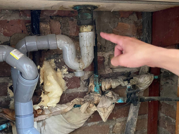 Best Basement water damage restoration  in Sun City Center, FL