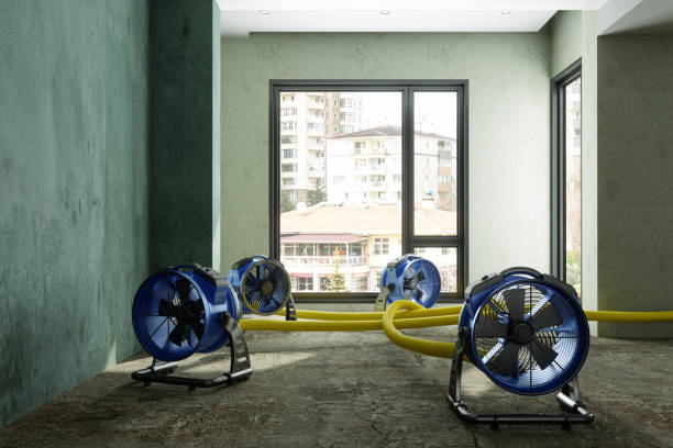 Best Commercial water damage restoration  in Sun City Center, FL